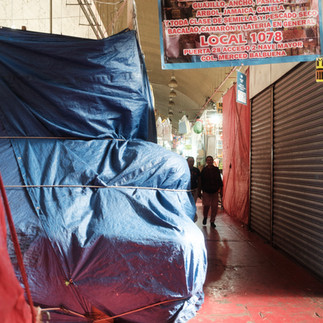 La luz respira entre lonas y pasillos.