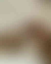 Hongos dorados: la lluvia hecha montaña en el pasillo.