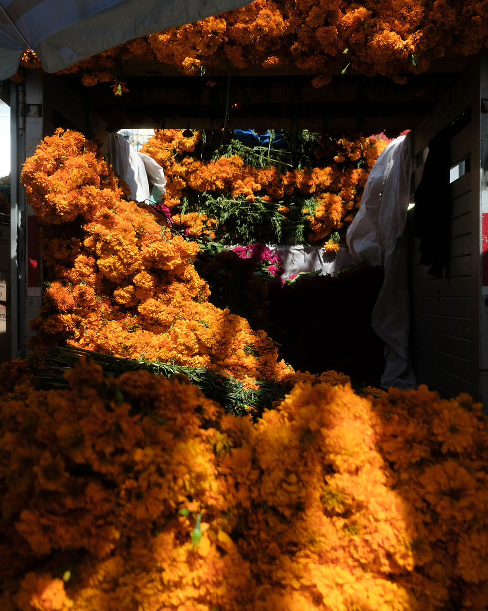El Mercado de Jamaica, ahí donde la memoria florece