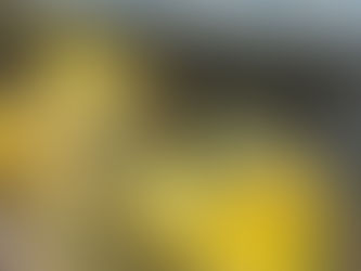 ☕ Tully’s Coffee Joins the Movement – July 11, 2025