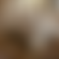 Foyer au propane - Manoir Montpellier