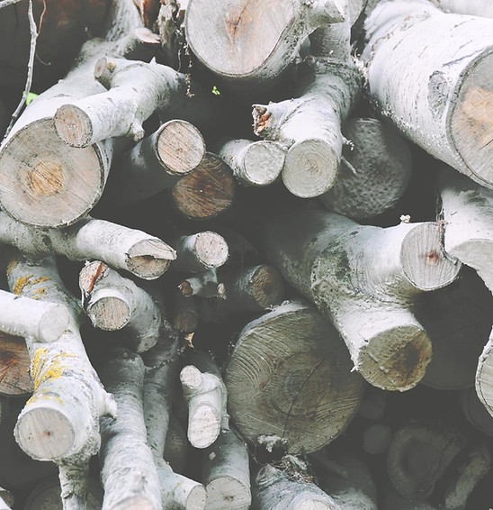 Firewood