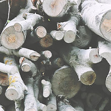 Firewood