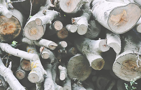 Firewood