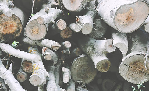 Firewood