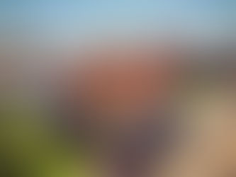 Repeatable milestone viewpoint over the Barnum Museum roof. Consistent aerial angles allow preservation teams to compare conditions phase by phase and maintain a clear progress record.