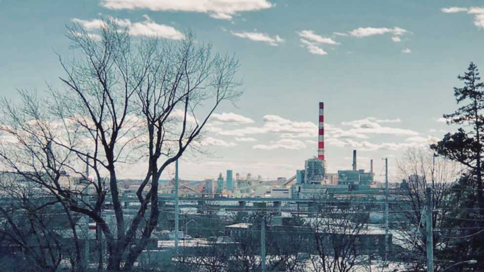 Ground-level view of the Bridgeport Harbor Station smokestack framed by trees and neighborhood infrastructure prior to demolition.
