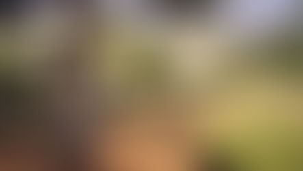 Nov 23 Market Update Littleton CO