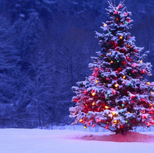 NATALE E SPRECHI FINANZIARI: TRA CELEBRAZIONE E AUMENTO DI COSTI