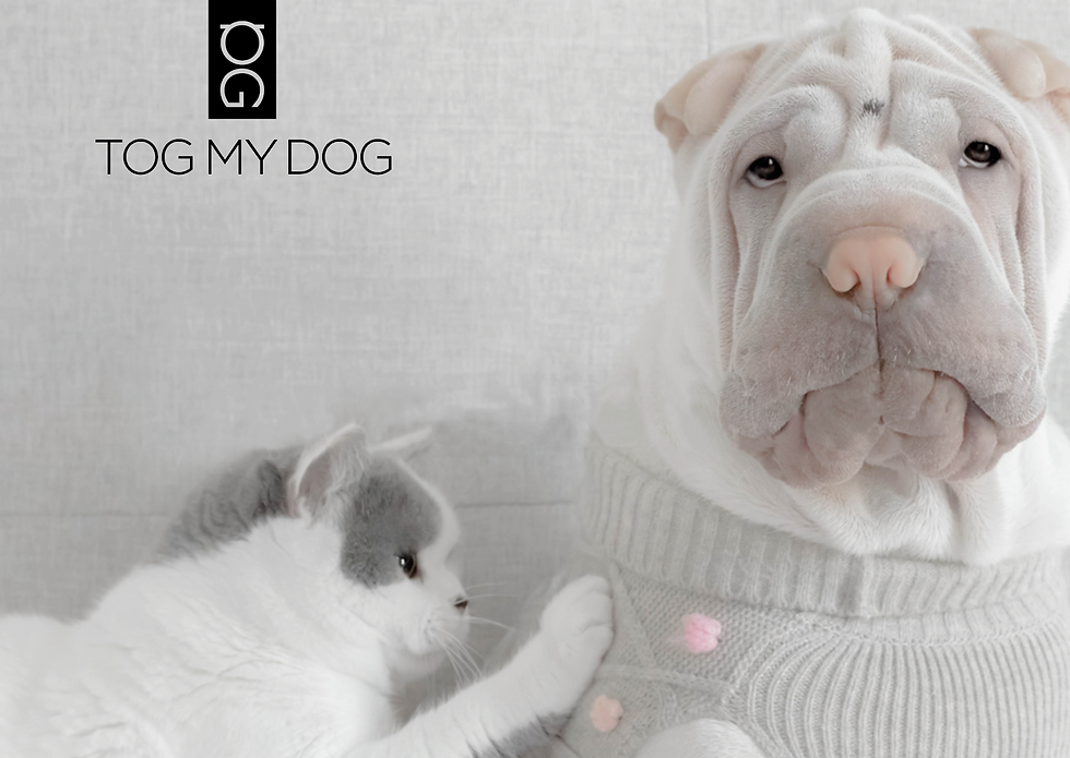 Tog My Dog Branding