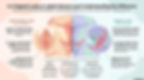 Labia Majora Augmentation in 2026 Labia majora augmentation has moved from a sparsely documented, Level-4 procedure toward a field with prospective data, emerging randomized trials, and the beginnings of technical standardization. Non-Surgical Intimate Rejuvenation – Thai Edition Female & Male Treatments with Injectables & Energy-Based Devices Mini Fellowship Live OR Observation Thailand Advanced