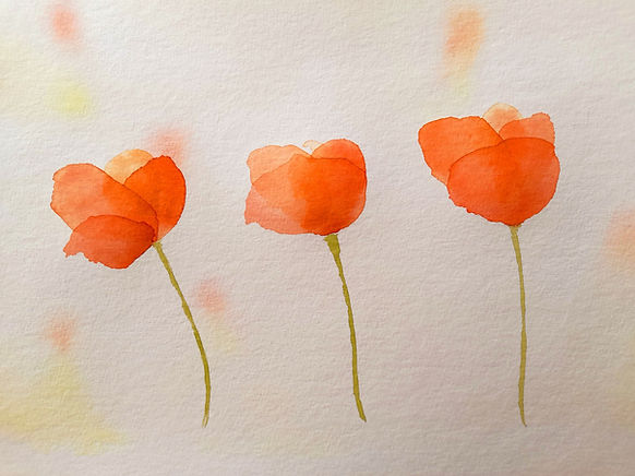 Trois coquelicots.jpg