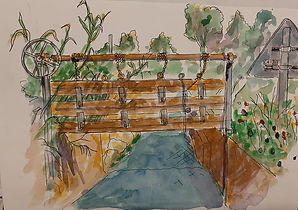 Eyragues - Canal - Thierry 1.jpg