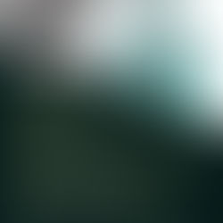 VOICI LA REALITE - location gérance - Carrefour