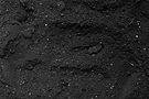black-land-plant-background-top-view-ground-pattern.jpg
