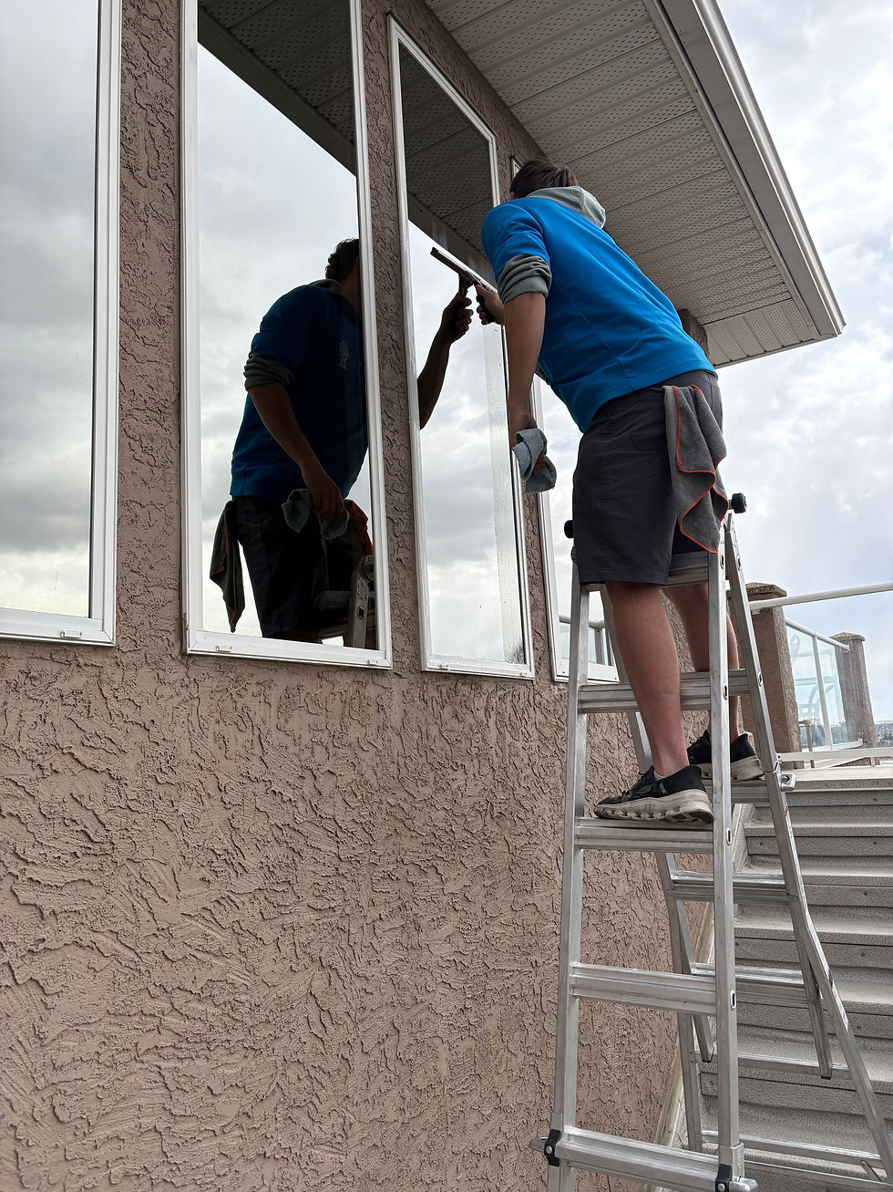 window cleaning 5