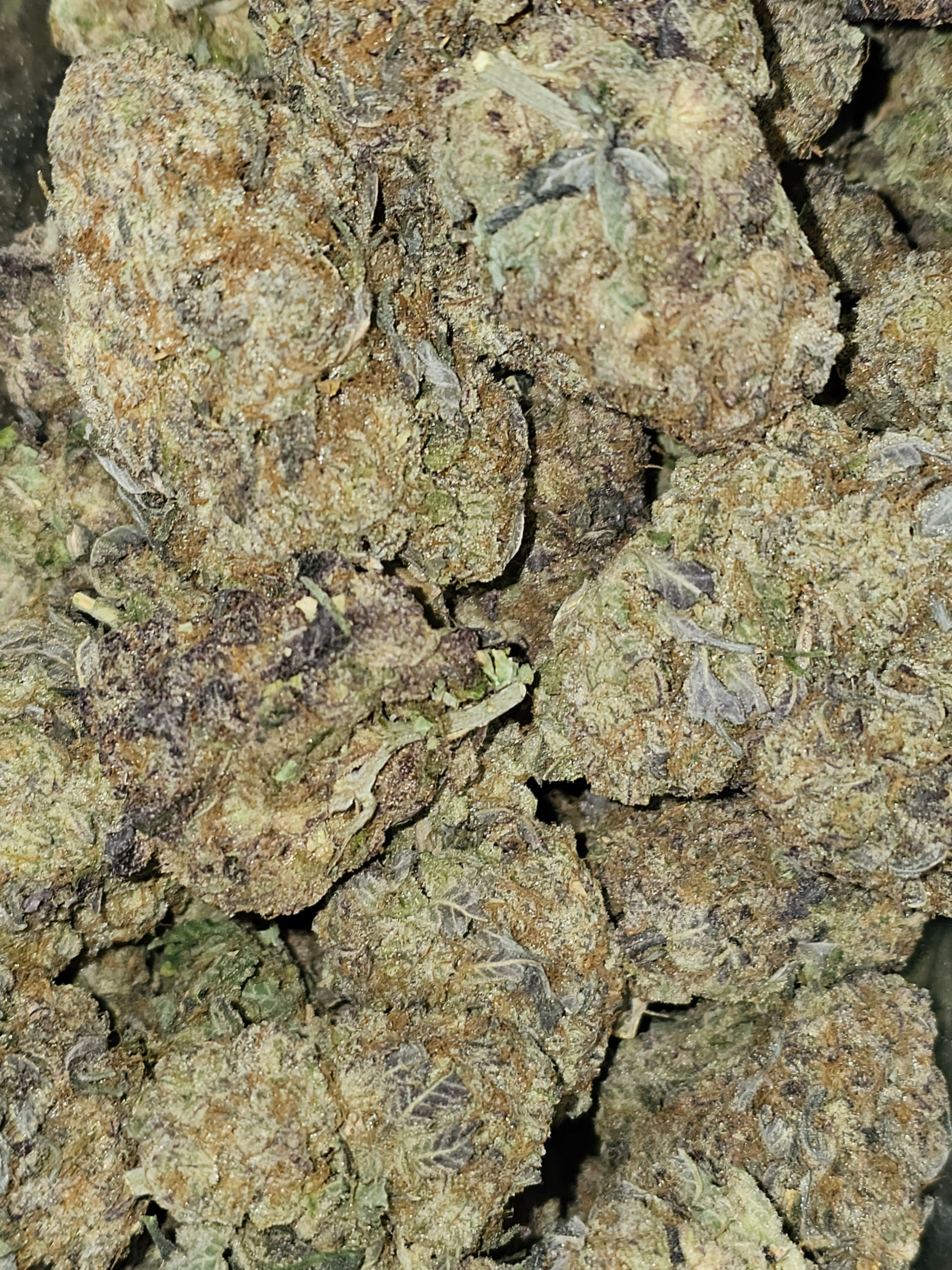 Wedding Crasher - ( G - 0z )