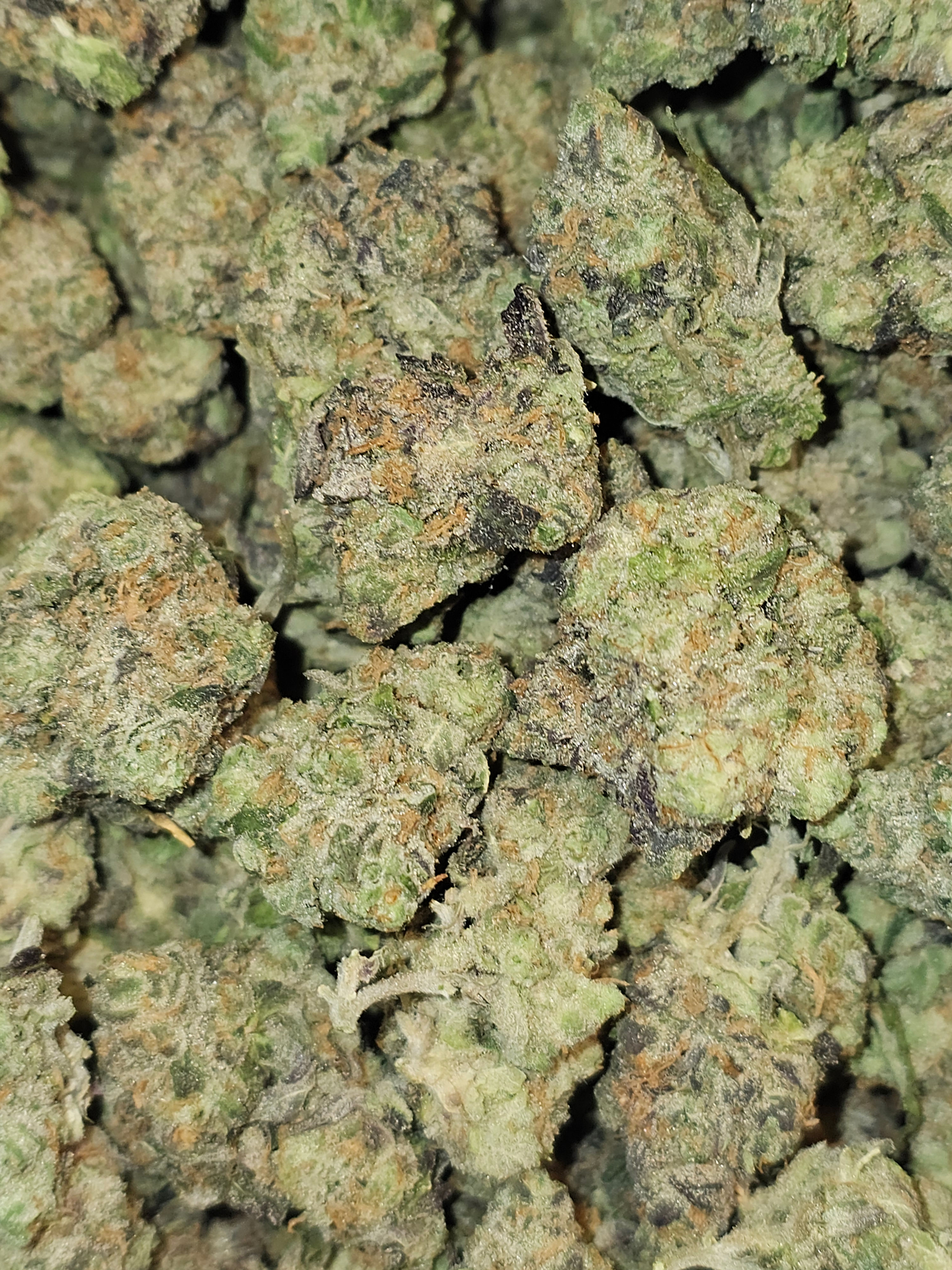 Berry Blast - ( G - 0z )