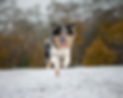 NWP_2674-Enhanced-NR copy.jpg