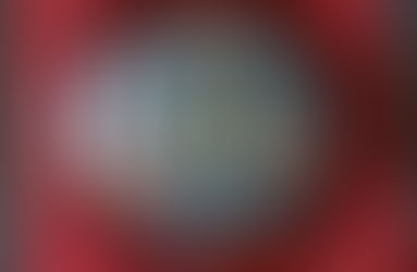 DISCOBOLO AL MERITO CSI