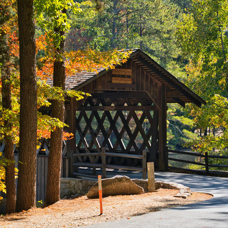 Tiny Home Builders in Georgia