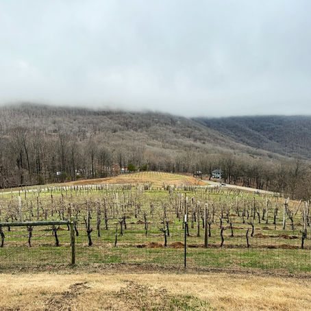Goats and wine: What's not to love? A review of Fainting Goat Vineyards & Winery in Jasper, Georgia