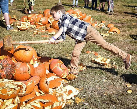 pumpkin destruction day 2.jpeg