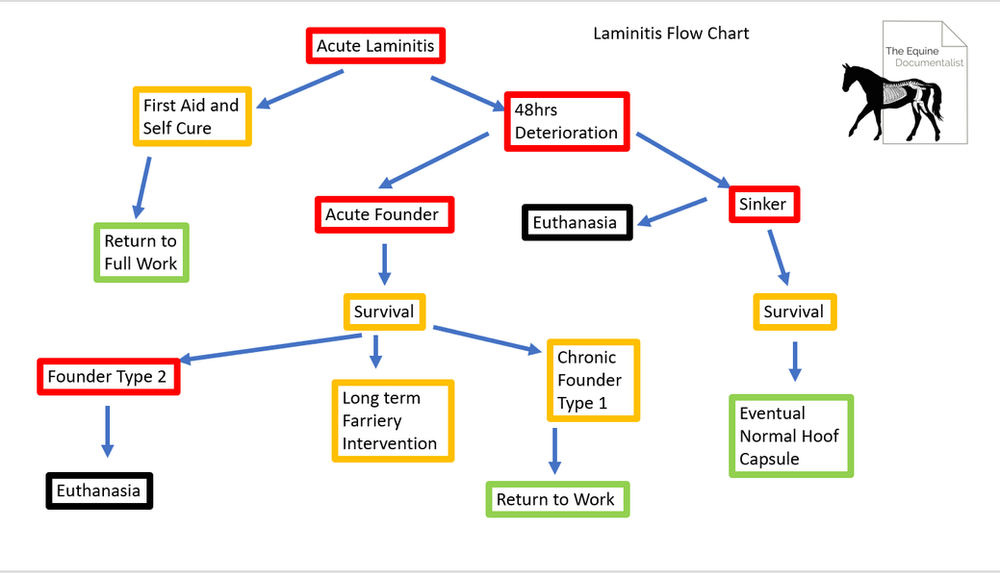 LaminitisA Pictorial Review