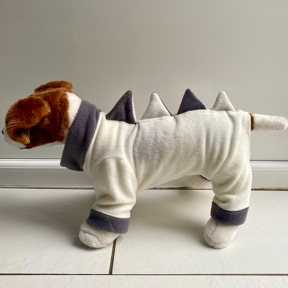 Thumbnail: Dino fleece suit