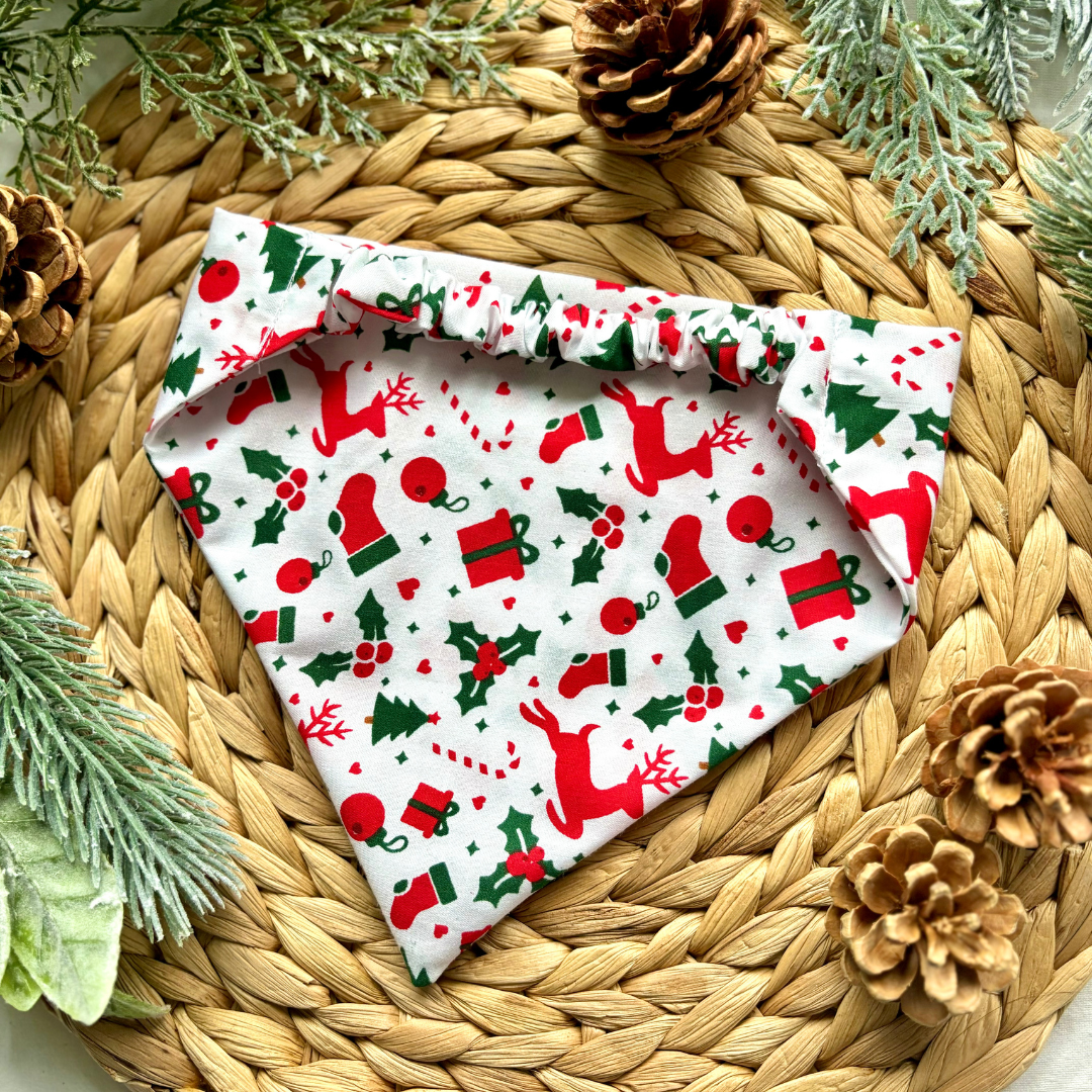 Christmas spirit