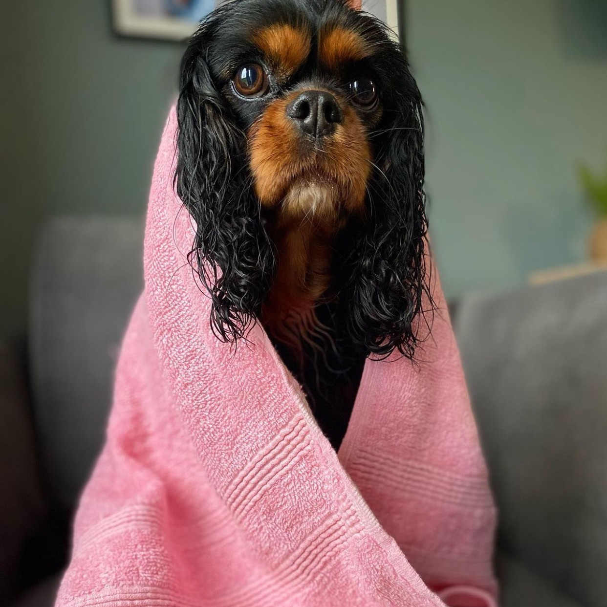 Personalised towel