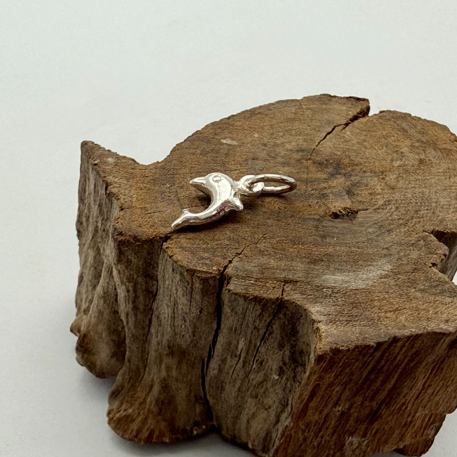 Dolphin Charm