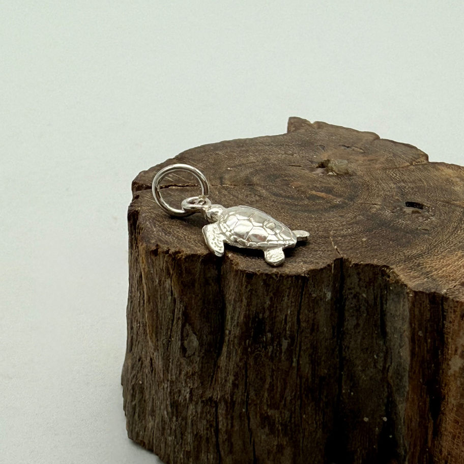 Turtle Charm