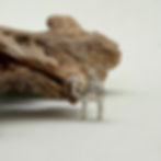 Camel Charm