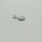 Dainty Shiva Shell Pendant