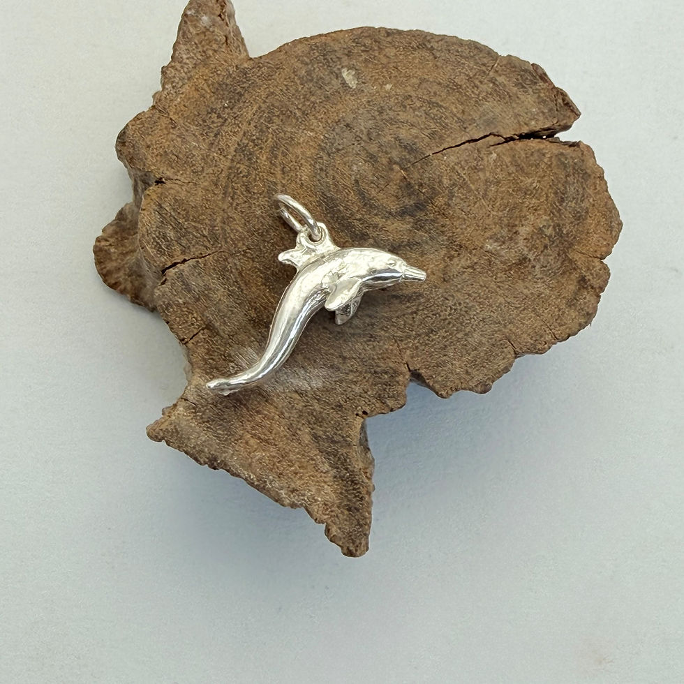 Dolphin Charm