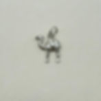 Camel Charm