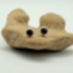 Faceted Sapphire Stud Earrings