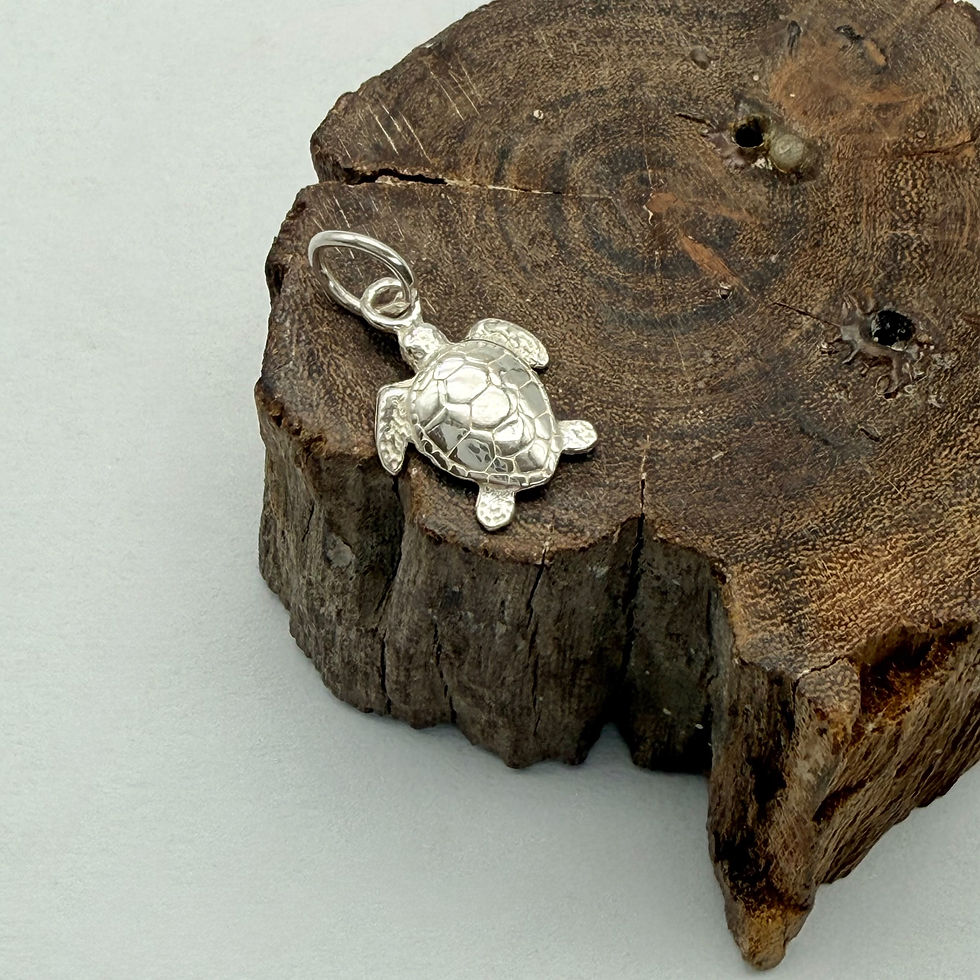 Turtle Charm