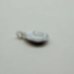 Shiva Shell Pendant
