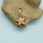 Enamel Starfish Pendant