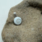 Dainty Shiva Shell Pendant
