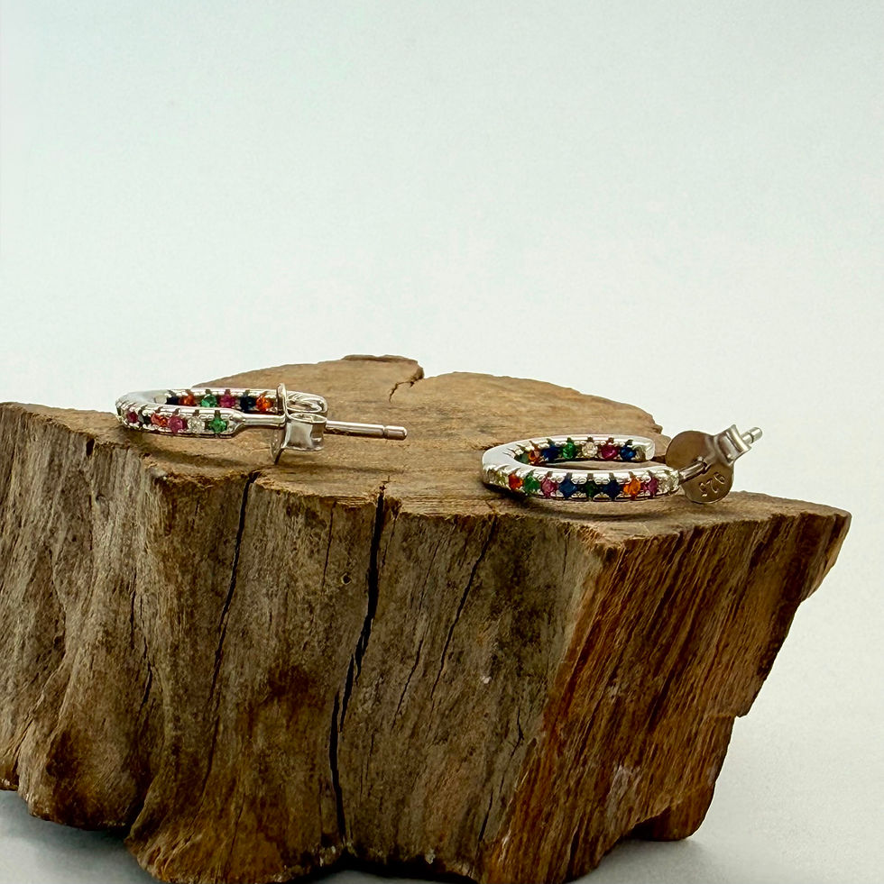 Multi Colour Hoop Earrings