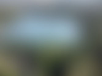 What We're Choosing to Focus On