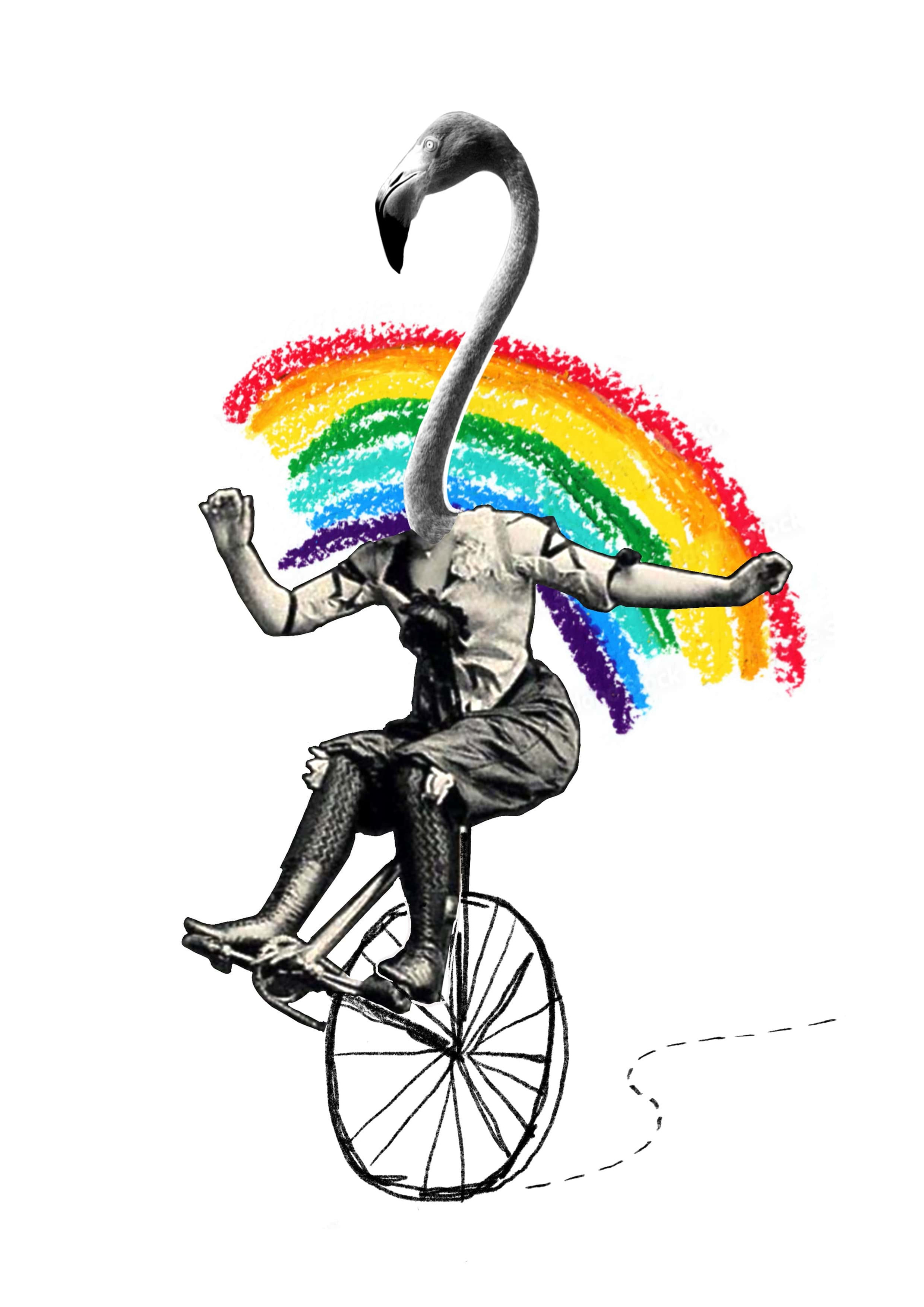 Flamingo Circus