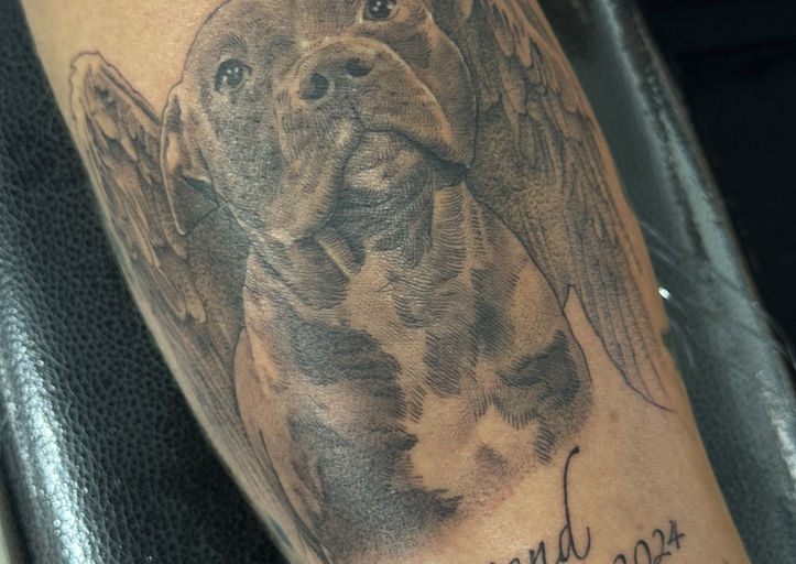 a memorial micro realism pet portrait tattoo of a pitbull on the inner arm.