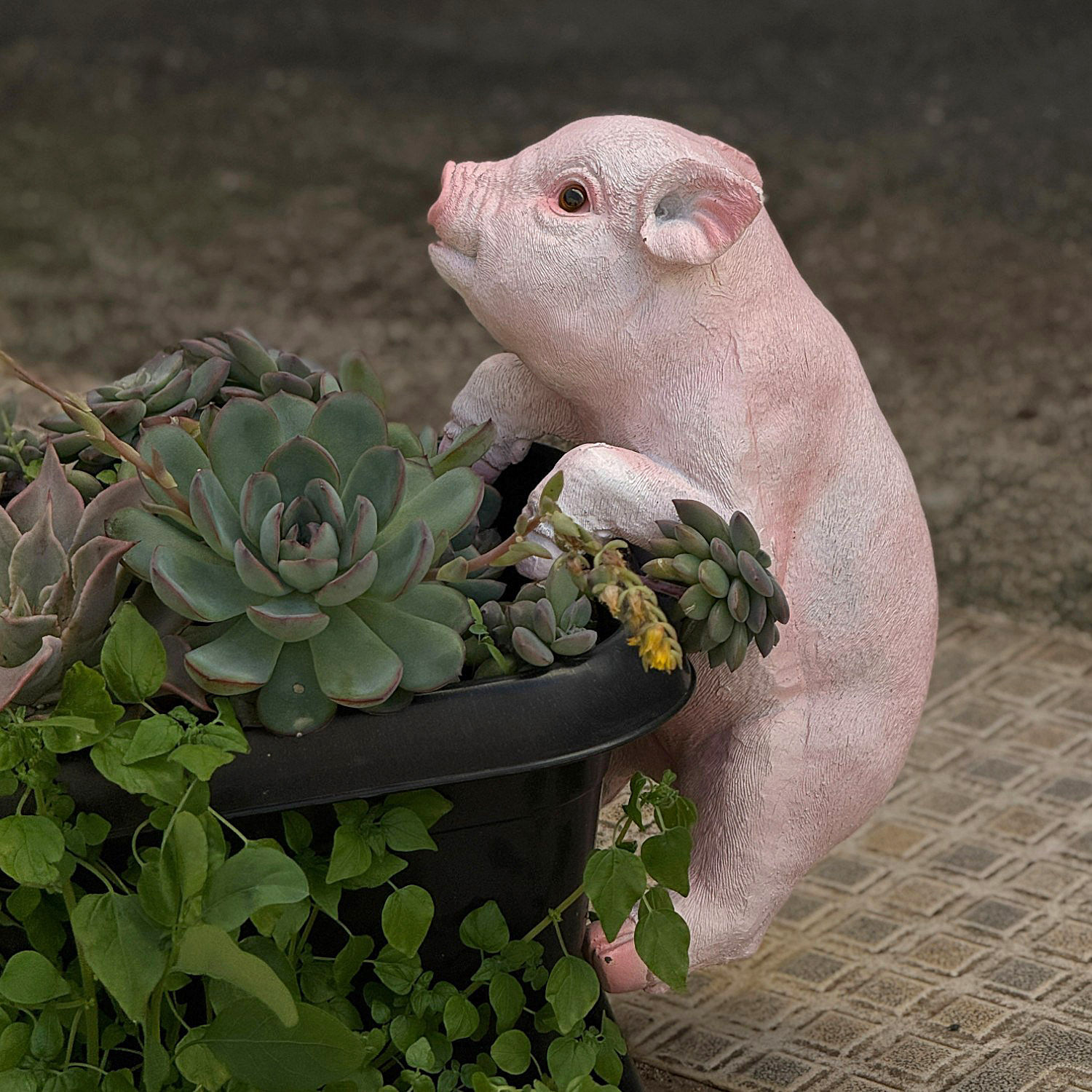 Porco Porquinho Rosa Enfeite Cerca Jardim De Pendurar Resina