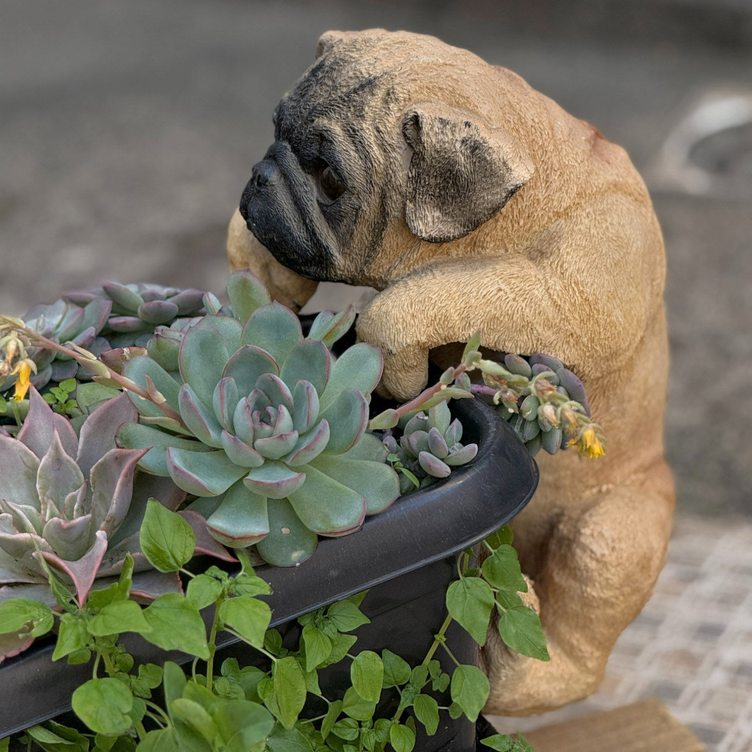 Pug Cachorro Decoração De Pendurar Para Jardim Cercas Resina
