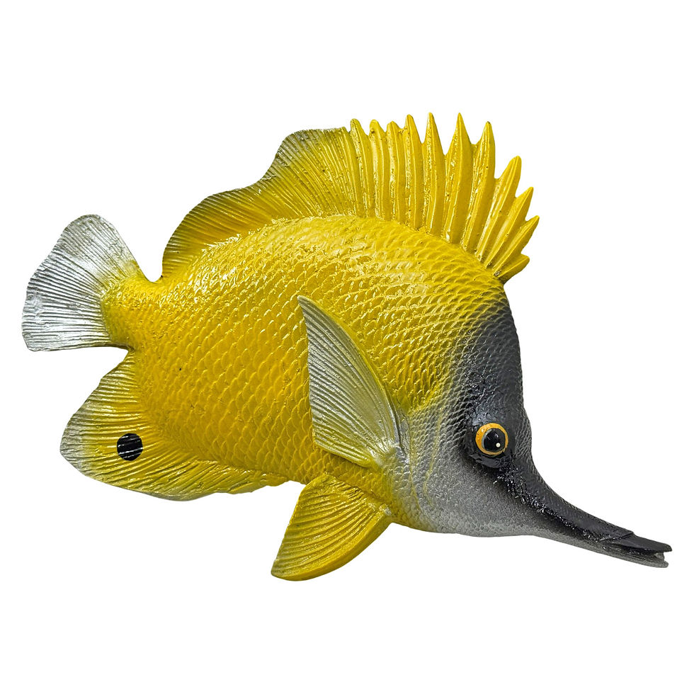Miniatura: Peixe Borboleta Decorativo Para Pendurar Parede Resina 30cm