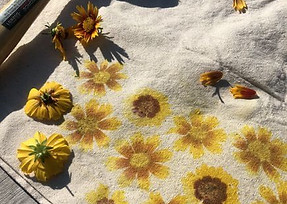 Nature-based summer program in North County San Diego